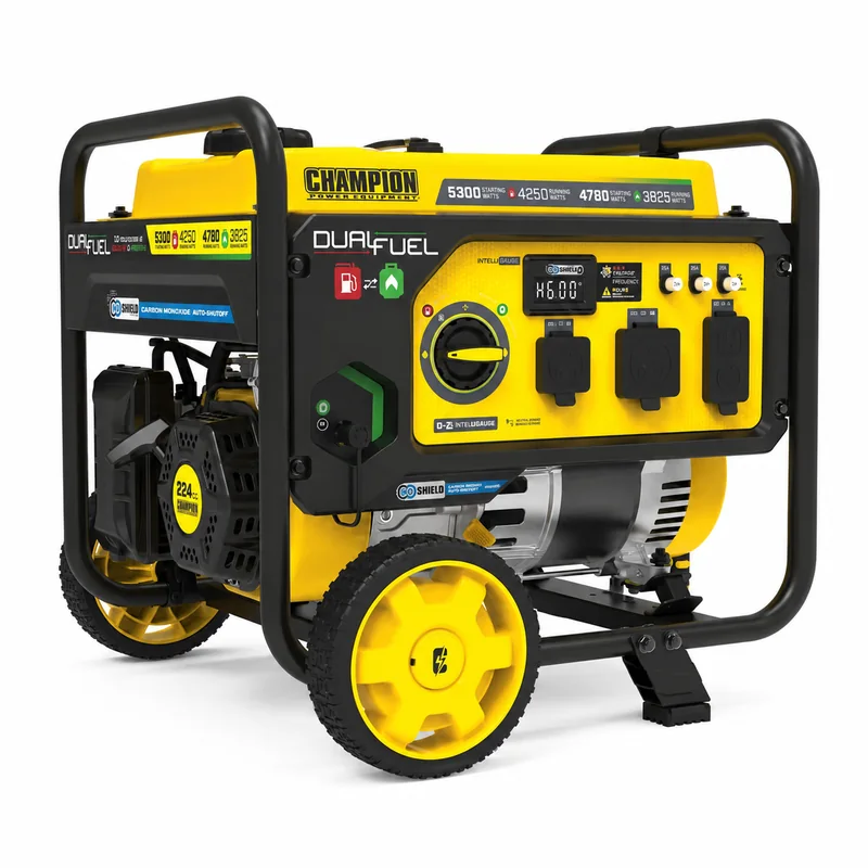 Champion 201279 — Dual-Fuel Portable Generator, Recoil Start — product photograph
